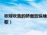 吹呀吹我的骄傲放纵啥意思（吹吧吹吧我的骄傲放纵是什么歌）