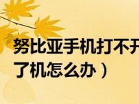 努比亚手机打不开机怎么办（努比亚手机开不了机怎么办）