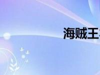 海贼王本子罗宾污acg