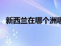 新西兰在哪个洲哪个国家（新西兰在哪里）