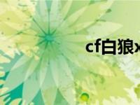 cf白狼x属性（cf白狼）