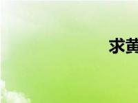 求黄页免费网址