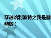 穿越哈利波特之我是赫敏cp西弗勒斯（穿越哈利波特之我是赫敏）