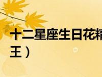 十二星座生日花精灵王（十二星座生辰花精灵王）