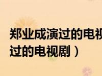 郑业成演过的电视剧有哪些好看的（郑业成演过的电视剧）