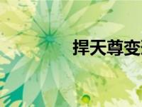 捍天尊变形金刚（捍天尊）