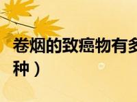 卷烟的致癌物有多少种（卷烟致癌物质有多少种）