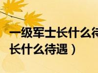 一级军士长什么待遇跟师长一样么（一级军士长什么待遇）