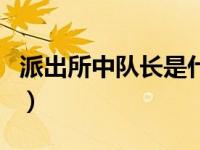 派出所中队长是什么级别（中队长是什么级别）