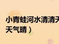 小青蛙河水清清天气晴教案（小青蛙河水清清天气晴）