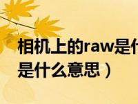 相机上的raw是什么意思（相机上的AVCHD是什么意思）