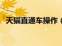天猫直通车操作（天猫直通车入口在哪里）