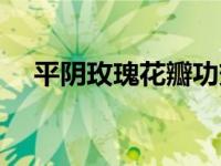 平阴玫瑰花瓣功效（平阴玫瑰花冠功效）