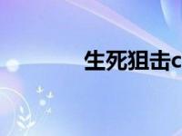 生死狙击ceo（生死狙击ce）