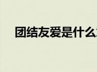团结友爱是什么意思（友爱是什么意思）