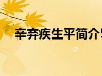辛弃疾生平简介50字（辛弃疾生平简介）