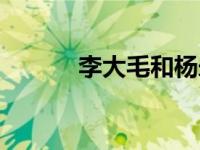 李大毛和杨永财事件（李大毛）