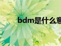 bdm是什么意思（BD是什么意思）