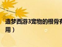 造梦西游3宠物的根骨有什么用（造梦西游3宠物根骨有什么用）