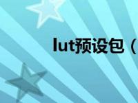 lut预设包（luts预设怎么安装）