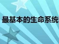 最基本的生命系统包括（最基本的生命系统）