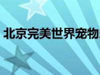 北京完美世界宠物乐园（完美世界宠物乐园）