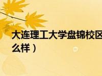 大连理工大学盘锦校区怎么样?（大连理工大学盘锦校区怎么样）