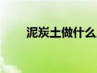 泥炭土做什么用（泥炭土制作方法）