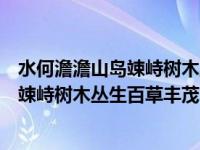 水何澹澹山岛竦峙树木丛生百草丰茂的意思（水何澹澹山岛竦峙树木丛生百草丰茂）