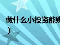 做什么小投资能赚钱（什么项目投资小赚钱快）