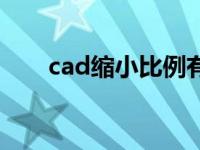 cad缩小比例有哪些（cad缩小比例）