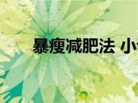 暴瘦减肥法 小说 杨洁（暴瘦减肥法）