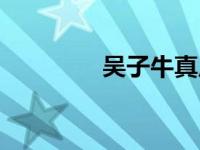 吴子牛真皮（吴子牛皮具）