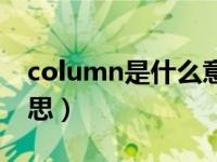 column是什么意思中文（column是什么意思）