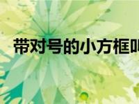 带对号的小方框叫什么（带对号的小方框）