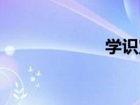 学识宝石（学识）