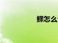 鳏怎么读（邹怎么读）