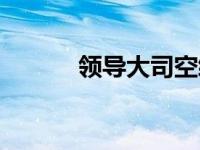 领导大司空续集（领导大司空）