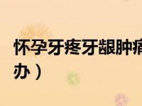 怀孕牙疼牙龈肿痛怎么办（牙疼牙龈肿痛怎么办）