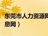 东莞市人力资源网站（东莞市人力资源政务信息网）
