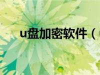 u盘加密软件（u盘里的文件怎么加密）