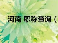 河南 职称查询（河南省职称网证书查询）