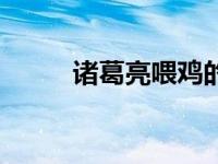 诸葛亮喂鸡的故事（诸葛亮喂鸡）