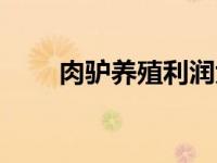 肉驴养殖利润大吗（肉驴养殖利润）