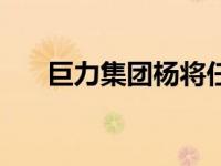 巨力集团杨将任职（巨力集团杨绍明）