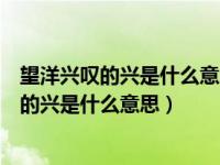 望洋兴叹的兴是什么意思根据意思兴应读作什么（望洋兴叹的兴是什么意思）