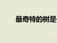 最奇特的树是什么树（最奇特的树）