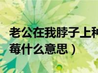 老公在我脖子上种草莓什么意思（脖子上种草莓什么意思）