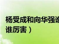 杨受成和向华强谁更有实力（杨受成和向华强谁厉害）