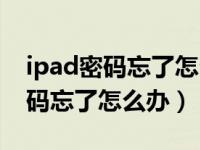 ipad密码忘了怎么办最简单的方法（ipad密码忘了怎么办）